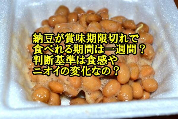 納豆が賞味期限切れで食べれる期間は一週間 判断基準は食感やニオイの変化なの 宅配port